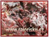 Ibišek květ kandovaný (1kg)