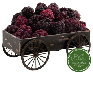 Ostružiny - lyofilizované